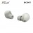 Sony WF1000XM5/SCE Silver Noise Earbuds 4548736143555