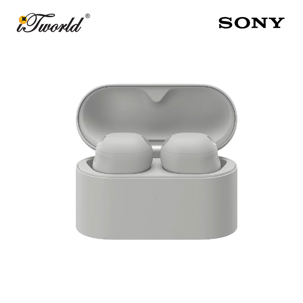 Sony WF-1000XM6/BZE Wireless Noise Cancelling Earbuds Platinum Silver 4548736171831