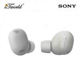Sony WF-1000XM6/BZE Wireless Noise Cancelling Earbuds Platinum Silver 4548736171831