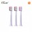 Xiaomi Dr. Bei Sonic Electric Toothbrush Head (Violet Gold)