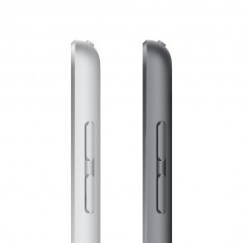 Apple iPad 10.2-inch 9th Gen Wi-Fi 256GB - Silver