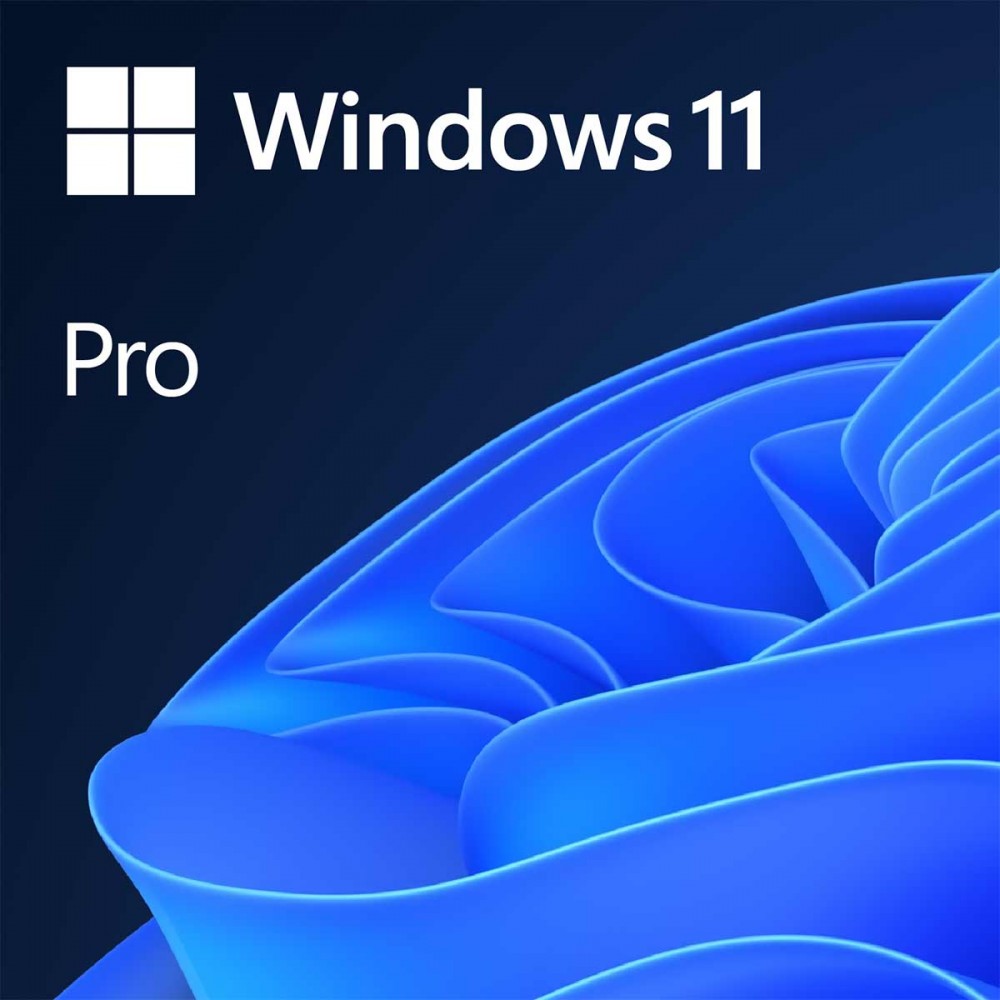 Microsoft Windows 11 Pro Entry - CSQ-00009