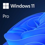Microsoft Windows 11 Pro Entry - CSQ-00009